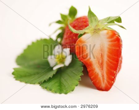 Fragola