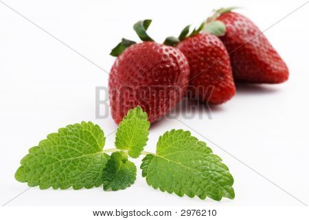 Fragola