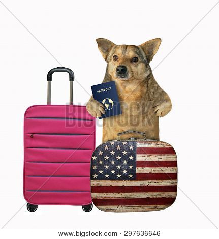 The Dog Tourist With A International Passport Is Near The Suitcases. White Background. Isolated.