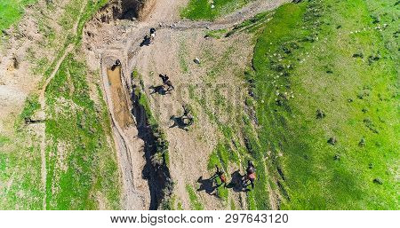 Herd Of Horses View From Drone Frightened Horse Stands On Its Legs During Traditional Game At Karako
