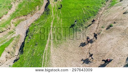 Herd Of Horses View From Drone Frightened Horse Stands On Its Legs During Traditional Game At Karako