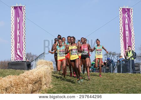 Aarhus, Denmark - March 30 2019: Iaaf Mikkeller World Cross Country Championship In Aarhus Moesgaard