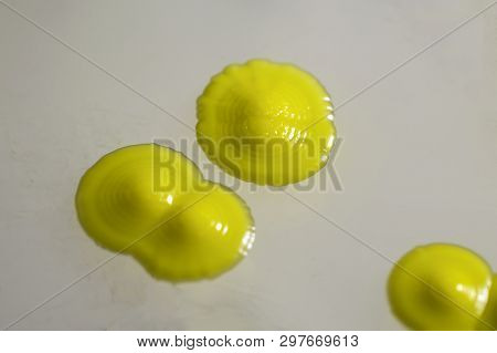 Colonies Of Micrococcus Luteus Bacteria On Agar Plate