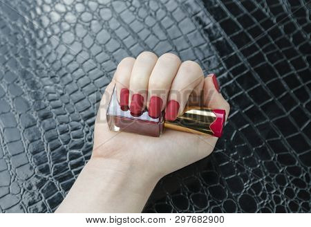 Stylish Fashionable Female Red Matte Manicure, Square Shape, On Black Background, Crocadile Skin