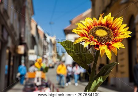 Zagreb, Croatia - April, 2018: Artificial Sun Flower At An Spanish Restaurant Located At A Beautiful