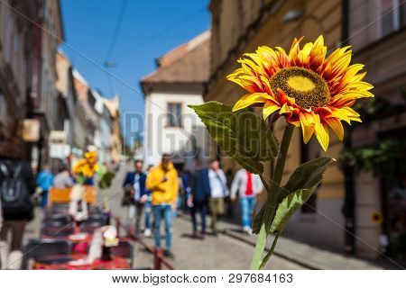 Zagreb, Croatia - April, 2018: Artificial Sun Flower At An Spanish Restaurant Located At A Beautiful