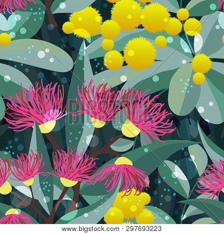 Vector Seamless Pattern With Blooming Eucalyptus Gum Tree And Acacia. Australian Flora Botanical Tex