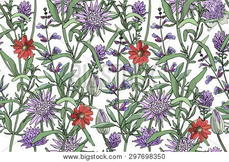 Vector Floral Seamless Pattern With Purple Oyster Plant (vegetable Oyster), Allium (chive), Sage, Re