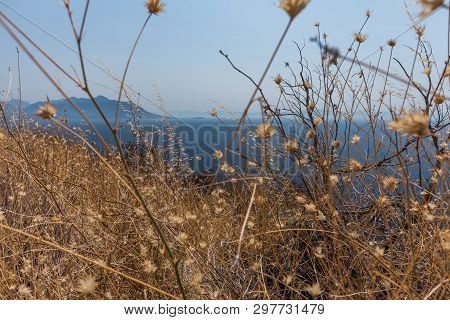 Beautiful Dalmatian Coast, Trstenik, Dalmatia, Croatia, Peljesac Peninsula