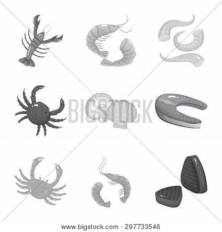 Isolated Object Of Seafood And Healthy Logo. Set Of Seafood And Ocean Vector Icon For Stock.