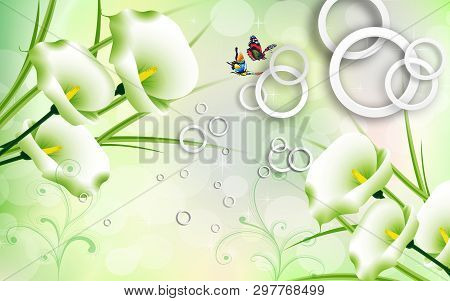 3d Illustration, Light Green Background, White Rings, Calla Flowers, Butterflies