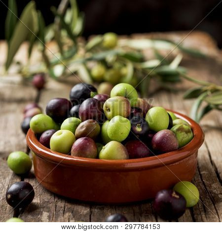 closeup of a brown earthenware pot full of arbequina olives from Catalonia, Spain, and some twigs of olive tree on a wooden rustic table