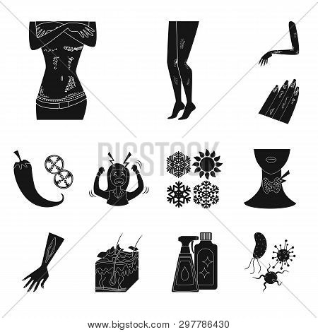 Vector Design Of Healthcare And Medical Icon. Set Of Healthcare And Dermatology Vector Icon For Stoc