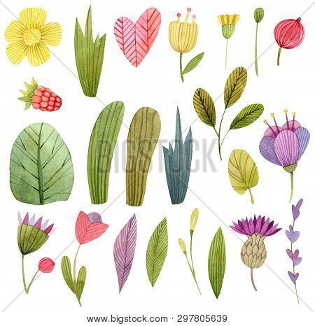 Watercolor Forest  Elements - Flowers, Berries, Tree, Greenery, Herbs.