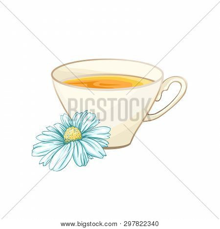 Porcelain Or Ceramic Tea Cup. Chamomile Or Daisy Flower And Green Tea. Herbal Therapy. Made Tea With
