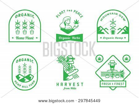 Hemp Farm Badge Design With Farmer Harvest,mountain Hill ,home Plant Vector Illustration