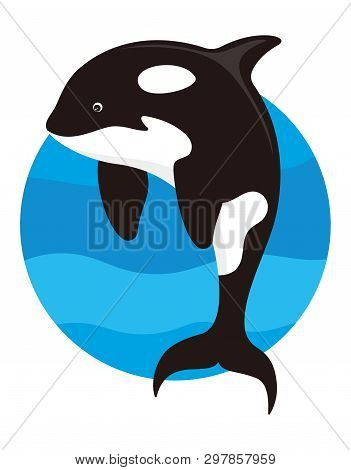 Cartoon Killer Whale Vector Photo Free Trial Bigstock