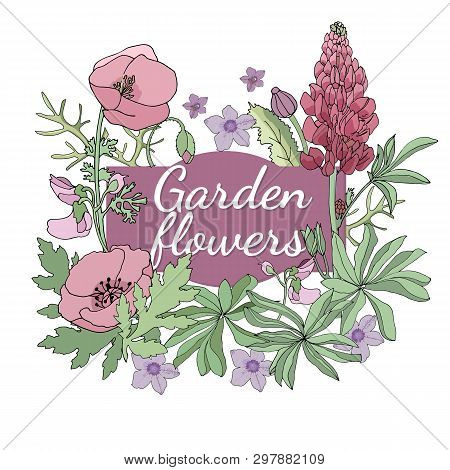 Floral Set. Summer And Spring Isolated Garden Flowers.