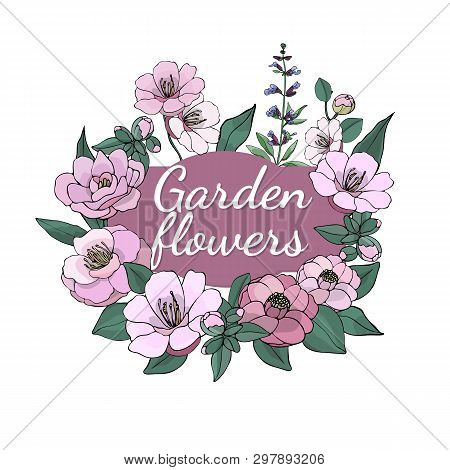 Floral Set. Summer And Spring Isolated Garden Flowers.