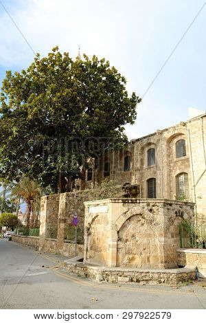 The Part Of Grans Mosque (djami Kebir As It Is Called) In Larnaca, Cyprus