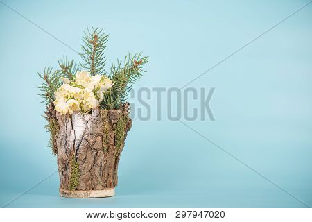 Leucojum Vernum In A Decorative Vase, Studio Shot. Is The First Spring Snowflake. Theme Of Internati