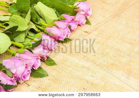 Pink Roses On A Rough Fabric, Background