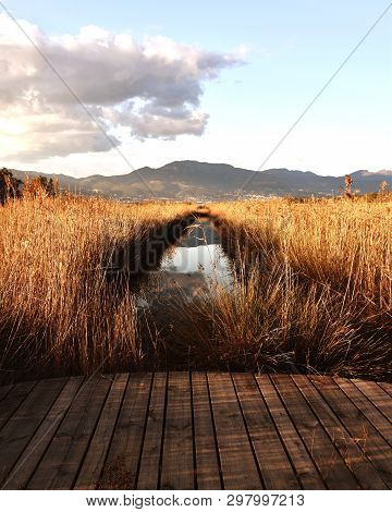Beautiful View On Lake And Montaine And Réflection In Corsican Islande