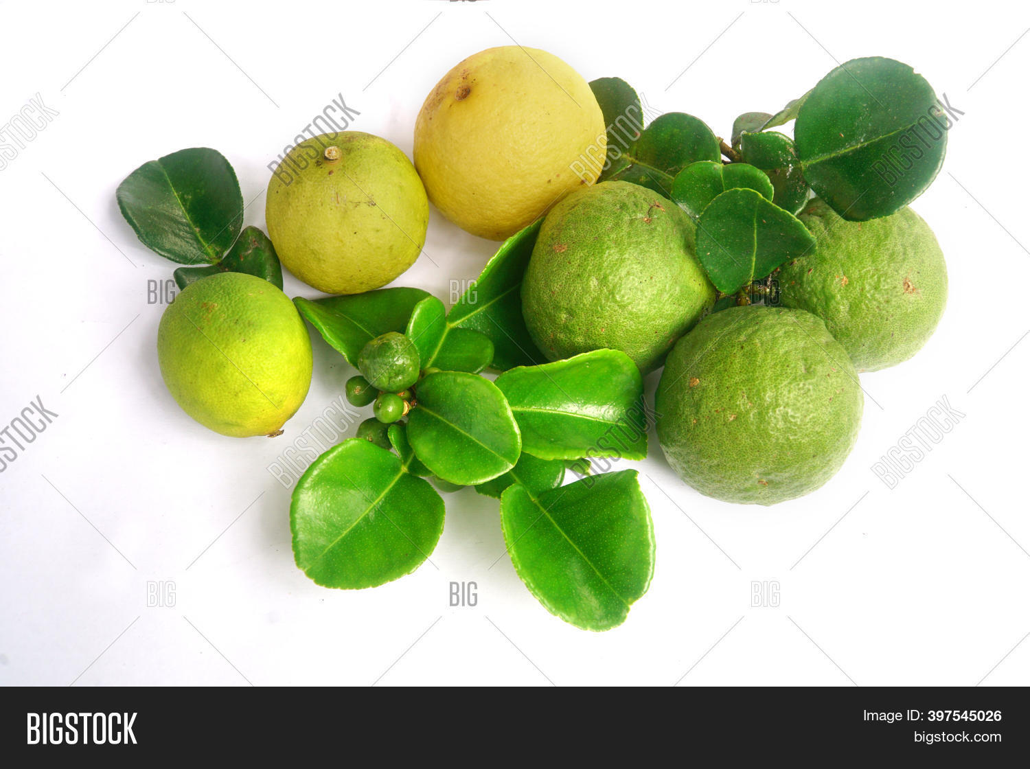 Kaffir Lime Citrus Image & Photo (Free Trial) | Bigstock