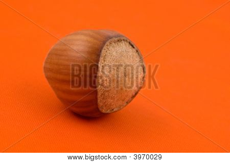 Hazelnut