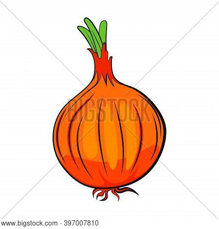 Onion Vector Isolated. Organic Food Vector Illustration. Vegetable Isolated. No Background. Vegan Fo