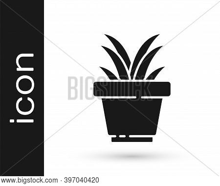 Grey Flower In Pot Icon Isolated On White Background. Plant Growing In A Pot. Potted Plant Sign. Vec