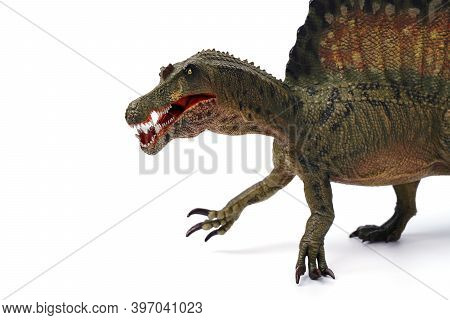 Spinosaurus Toy Stands Isolated On White Background.  Spinosaurid Dinosaur That Lived In What Now Is