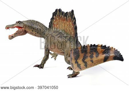 Spinosaurus Toy Stands Isolated On White Background.  Spinosaurid Dinosaur That Lived In What Now Is