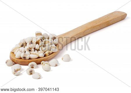 Isolated Seed Grains. Flat Lay Of Arranged Wooden Spoons With Various Healthy Seed Millet Or Poaceae