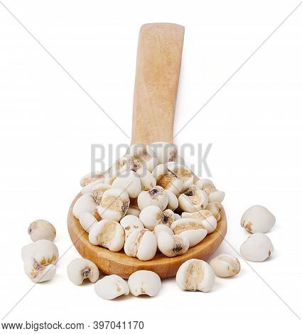 Isolated Seed Grains. Flat Lay Of Arranged Wooden Spoons With Various Healthy Seed Millet Or Poaceae