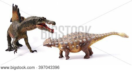 Spinosaurus Fighting Ankyrosaurus Isolated On White Background.  Spinosaurid Dinosaur That Lived In 