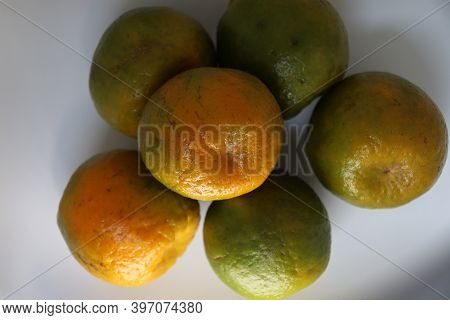 Green And Yellow Colored Orange Stock