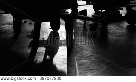 Background Studio Floor Of Filming Or Making Of Video Production