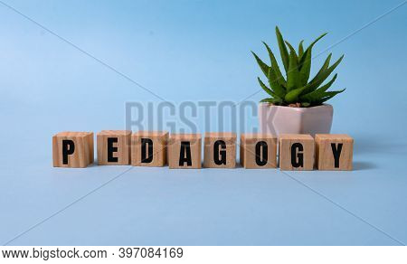 Pedagogy Word Written On Wood Block. Pedagogy Text On Blue For Your Desing, Concept.