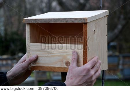 Hands Attach The Box For Black Scythe Turdus Merula With An Opening Of 8cm, Nesting Up To 2m In Heig