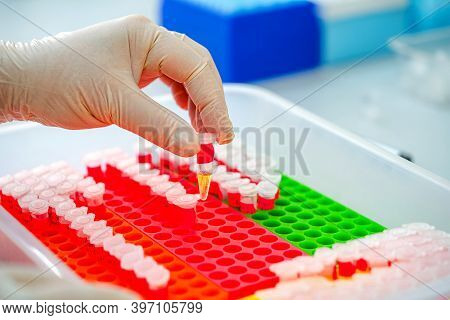 Test Tubes With Blood On A Tray. Blood Laboratory. Illness Testing. Emergency Testing. Virus Infecti