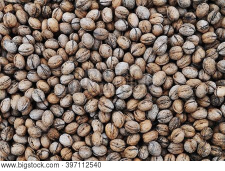 A Lot Of Walnuts Background Top View