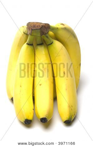 Junior Baby bananer