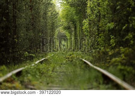 Natural Tunnel Of Love Formed By Trees In Ukraine, Klevan. Old Railway In The Beautiful Tunnel In Su