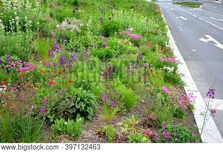 Flowerbed Of Colorful Colors Of Prairie Flowers In An Urban Setting Attractive For Insects And Butte