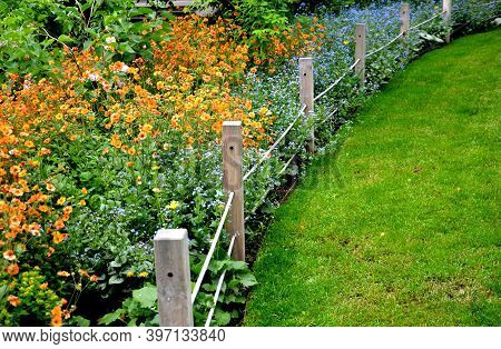 They Form Such A Dense Clump That Even Outside The Flowering Period, The Plant Is Very Attractive An