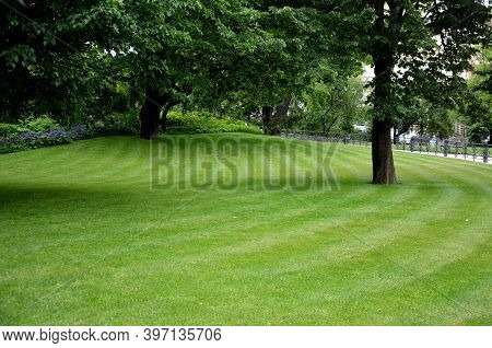Beautifully Mown Lawn Under The Old Trees Of A Shady Park
