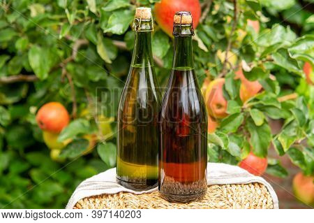 Brut And Rose Apple Cider From Normandy, France And Green Apple Tree With Ripe Red Fruits On Backgro