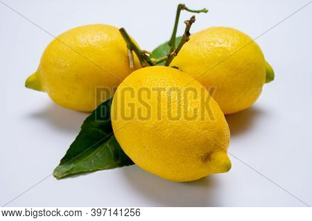 Fresh Ripe Yellow Italian Lemons With Leaf, New Harvest