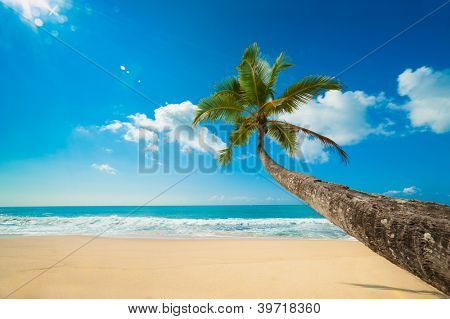 ริมชายหาดขาวละเอียดในศรีลังกา